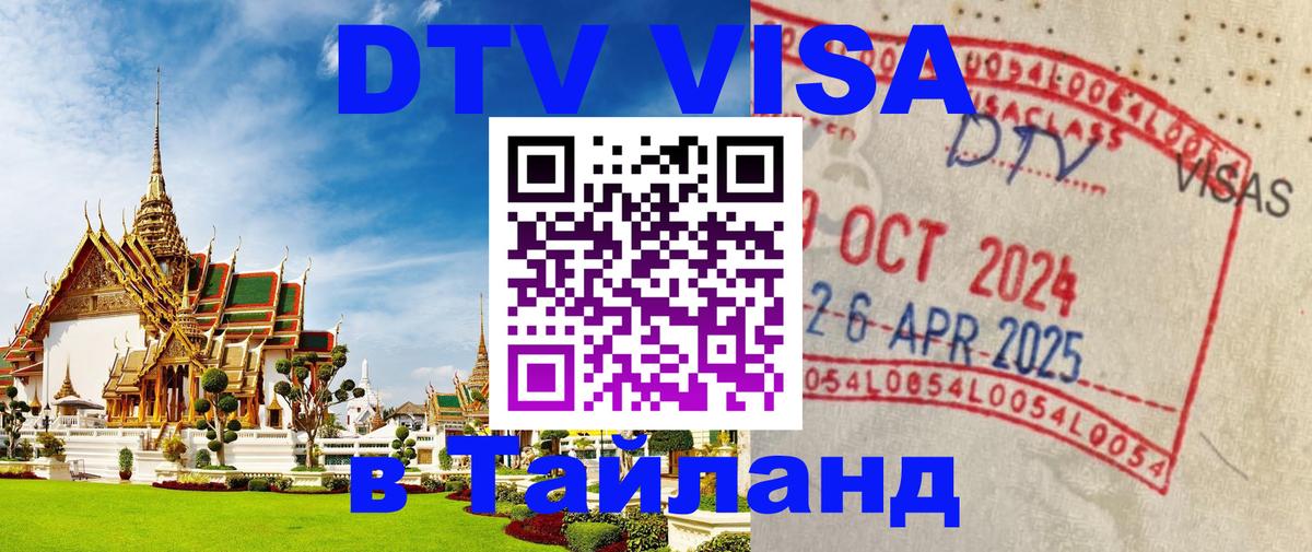 Оформление DTV визы под ключ: стоимость и тарифы, только загранпаспорт - Махачкала  20.11.2025 